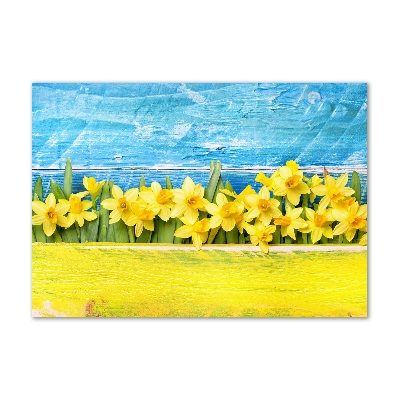 Tableau photo sur verre Jonquilles