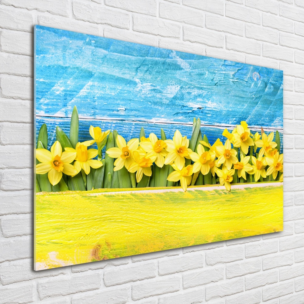 Tableau photo sur verre Jonquilles