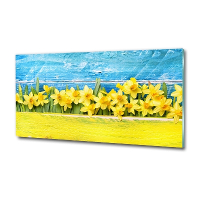 Tableau photo sur verre Jonquilles