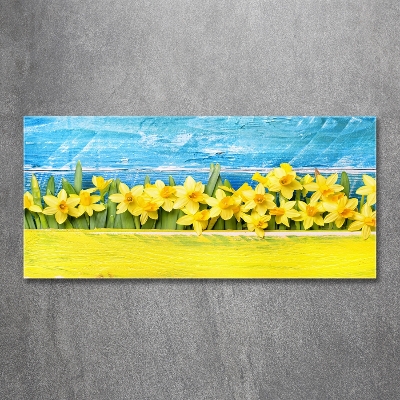 Tableau photo sur verre Jonquilles