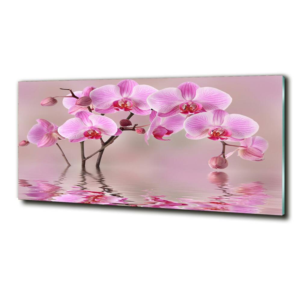 Tableau imprimé sur verre Orchidée rose