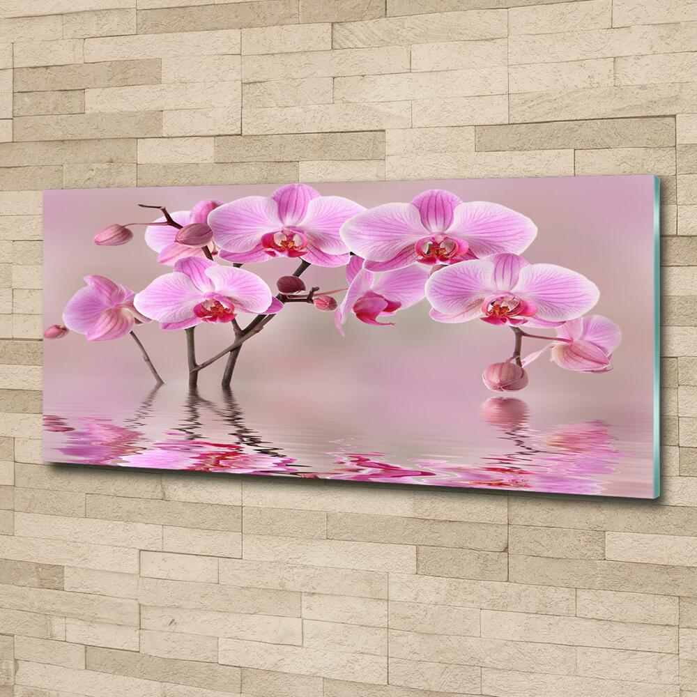 Tableau imprimé sur verre Orchidée rose