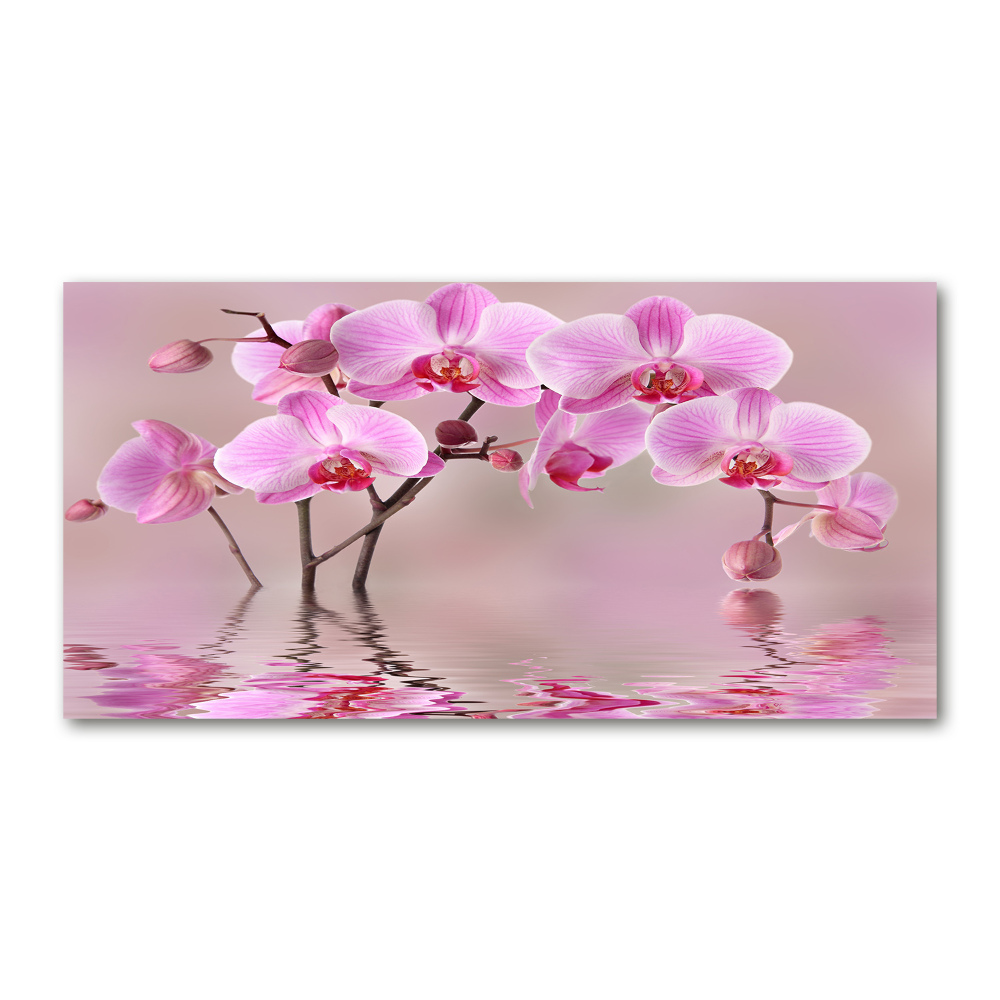 Tableau imprimé sur verre Orchidée rose