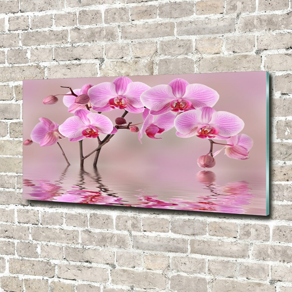 Tableau imprimé sur verre Orchidée rose