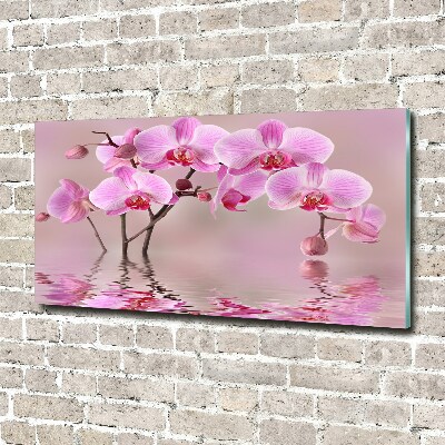 Tableau imprimé sur verre Orchidée rose