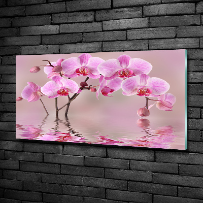 Tableau imprimé sur verre Orchidée rose