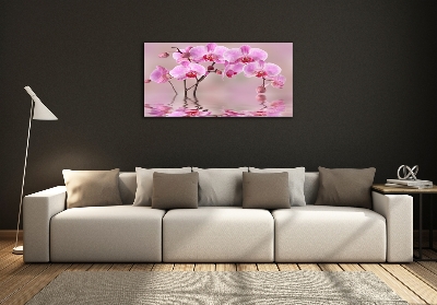 Tableau imprimé sur verre Orchidée rose