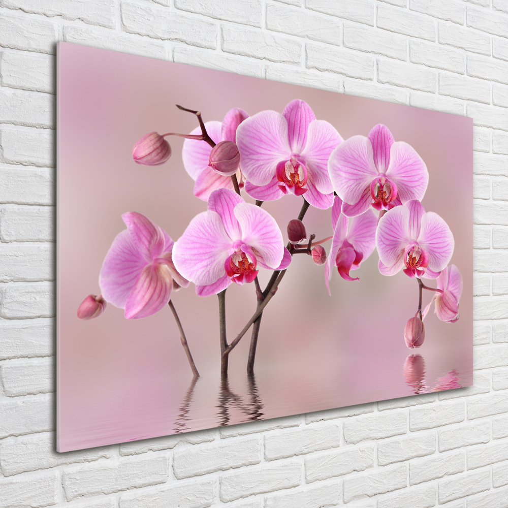 Tableau imprimé sur verre Orchidée rose