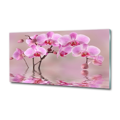 Tableau imprimé sur verre Orchidée rose