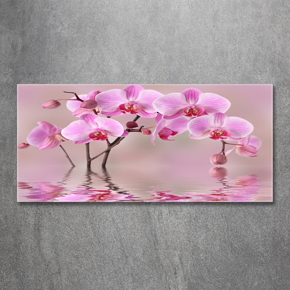 Tableau imprimé sur verre Orchidée rose