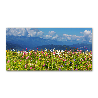 Tableau sur verre Prairie dans les montagnes