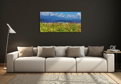 Tableau sur verre Prairie dans les montagnes