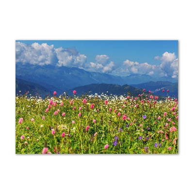 Tableau sur verre Prairie dans les montagnes