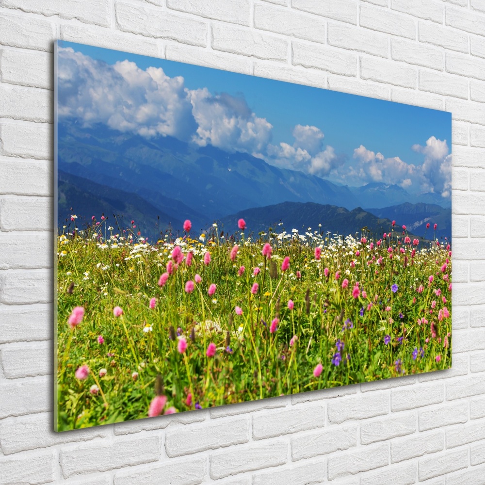 Tableau sur verre Prairie dans les montagnes