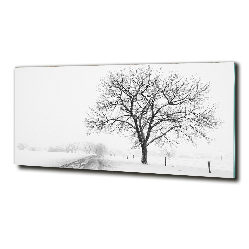 Tableau imprimé sur verre Arbre en hiver