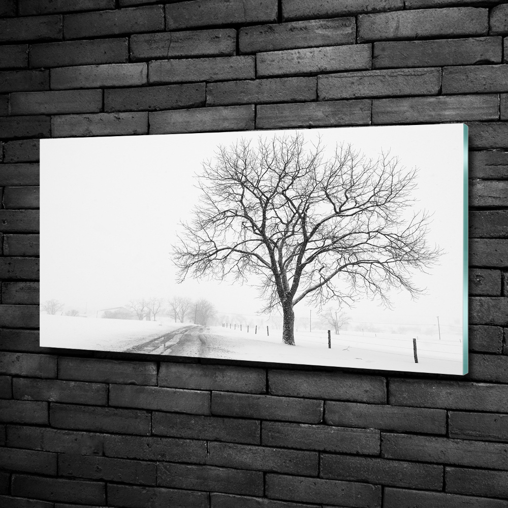 Tableau imprimé sur verre Arbre en hiver