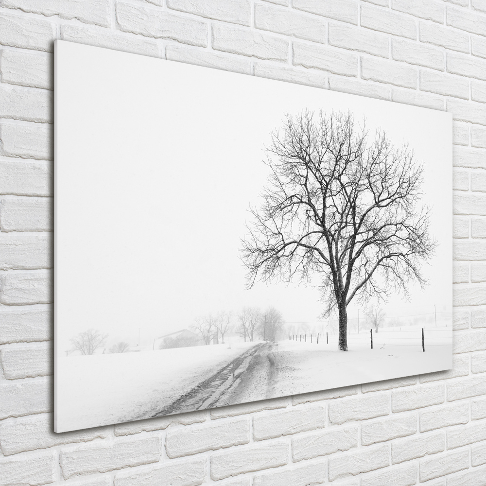 Tableau imprimé sur verre Arbre en hiver