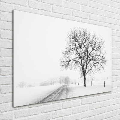 Tableau imprimé sur verre Arbre en hiver