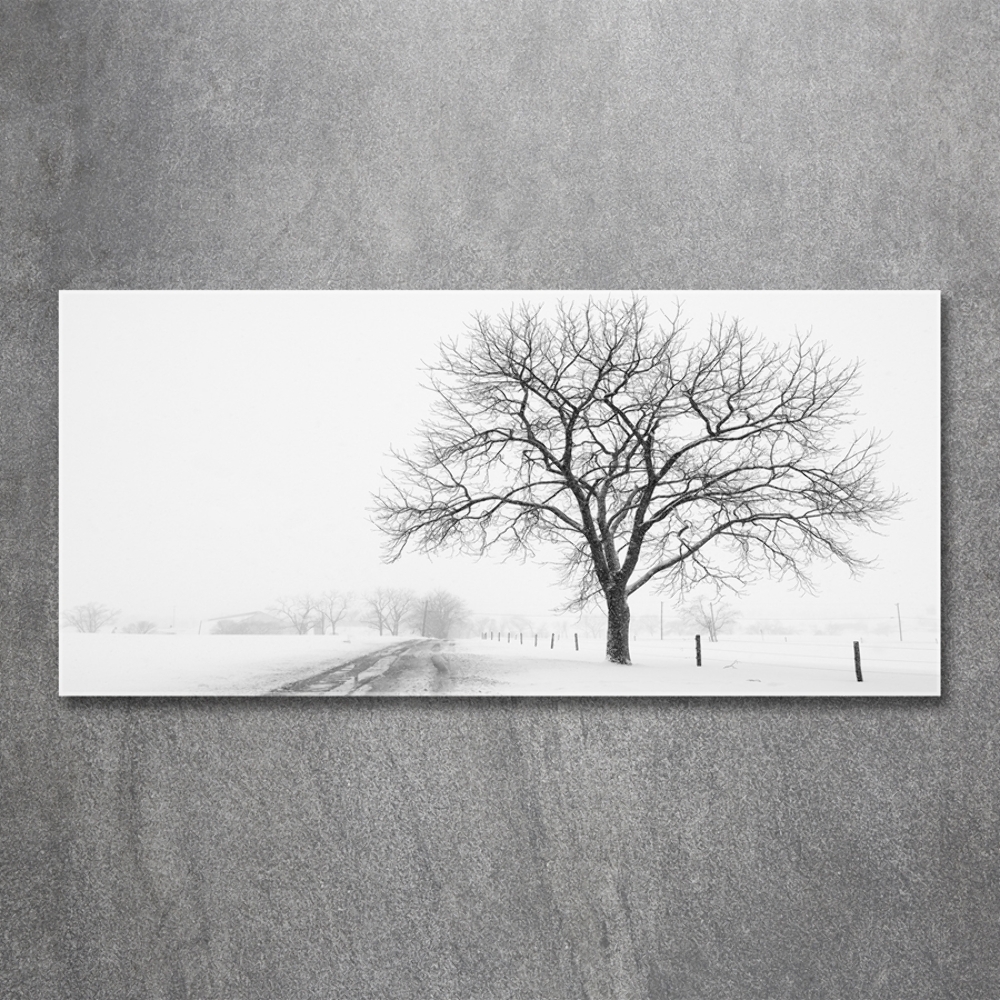 Tableau imprimé sur verre Arbre en hiver