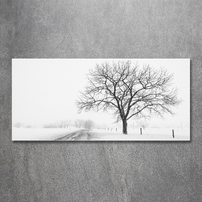 Tableau imprimé sur verre Arbre en hiver