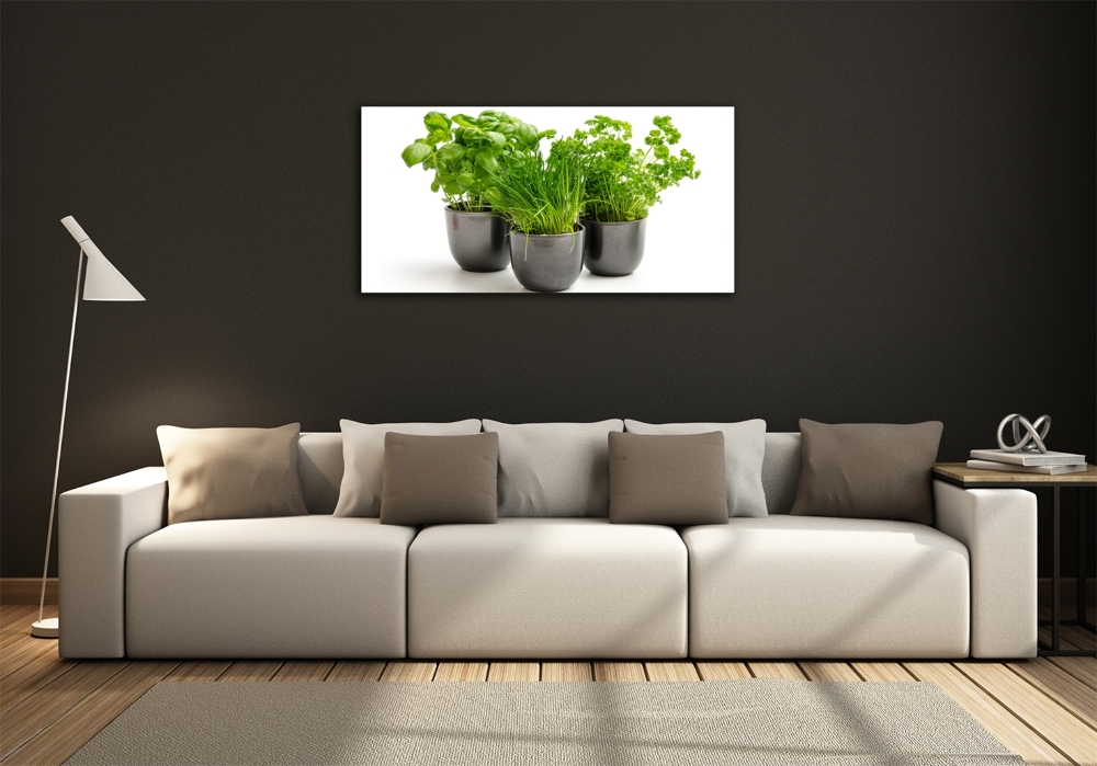 Tableau photo sur verre Herbes en pots