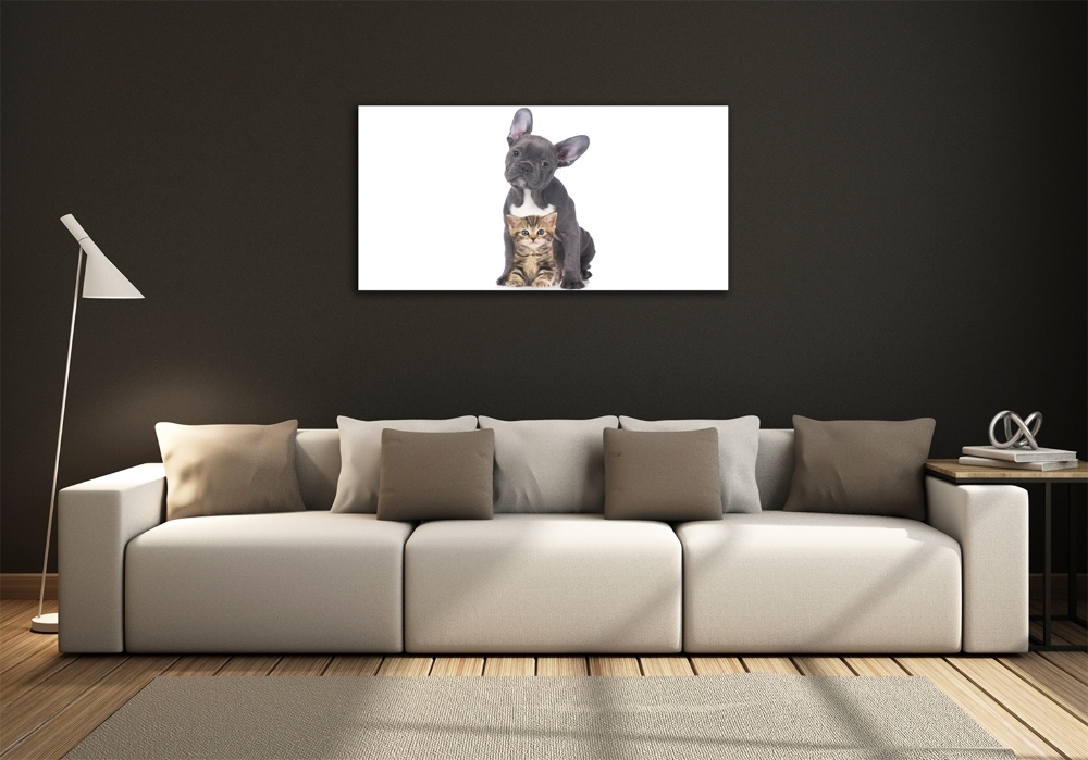 Tableau verre imprimé Chien et chat