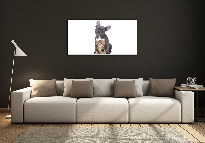 Tableau verre imprimé Chien et chat