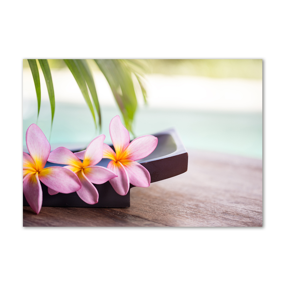 Tableau sur verre Plumeria