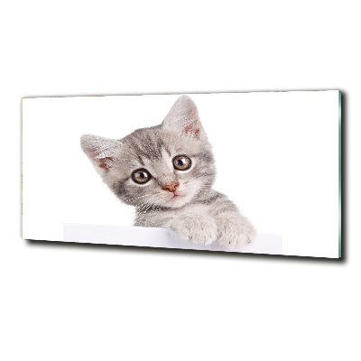 Tableau en verre Chat gris