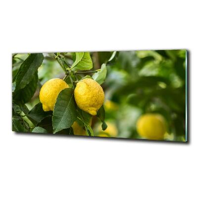 Tableau verre imprimé Citrons sur un arbre