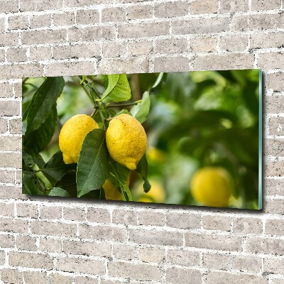 Tableau verre imprimé Citrons sur un arbre