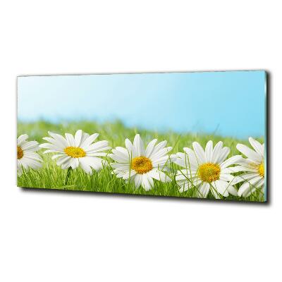 Tableau sur verre Marguerites