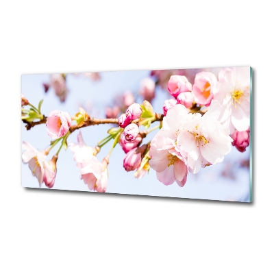 Tableau sur verre Fleurs de cerisier