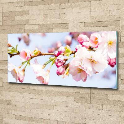 Tableau sur verre Fleurs de cerisier