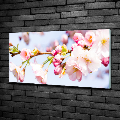 Tableau sur verre Fleurs de cerisier