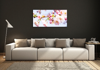 Tableau sur verre Fleurs de cerisier