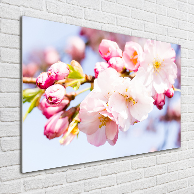 Tableau sur verre Fleurs de cerisier