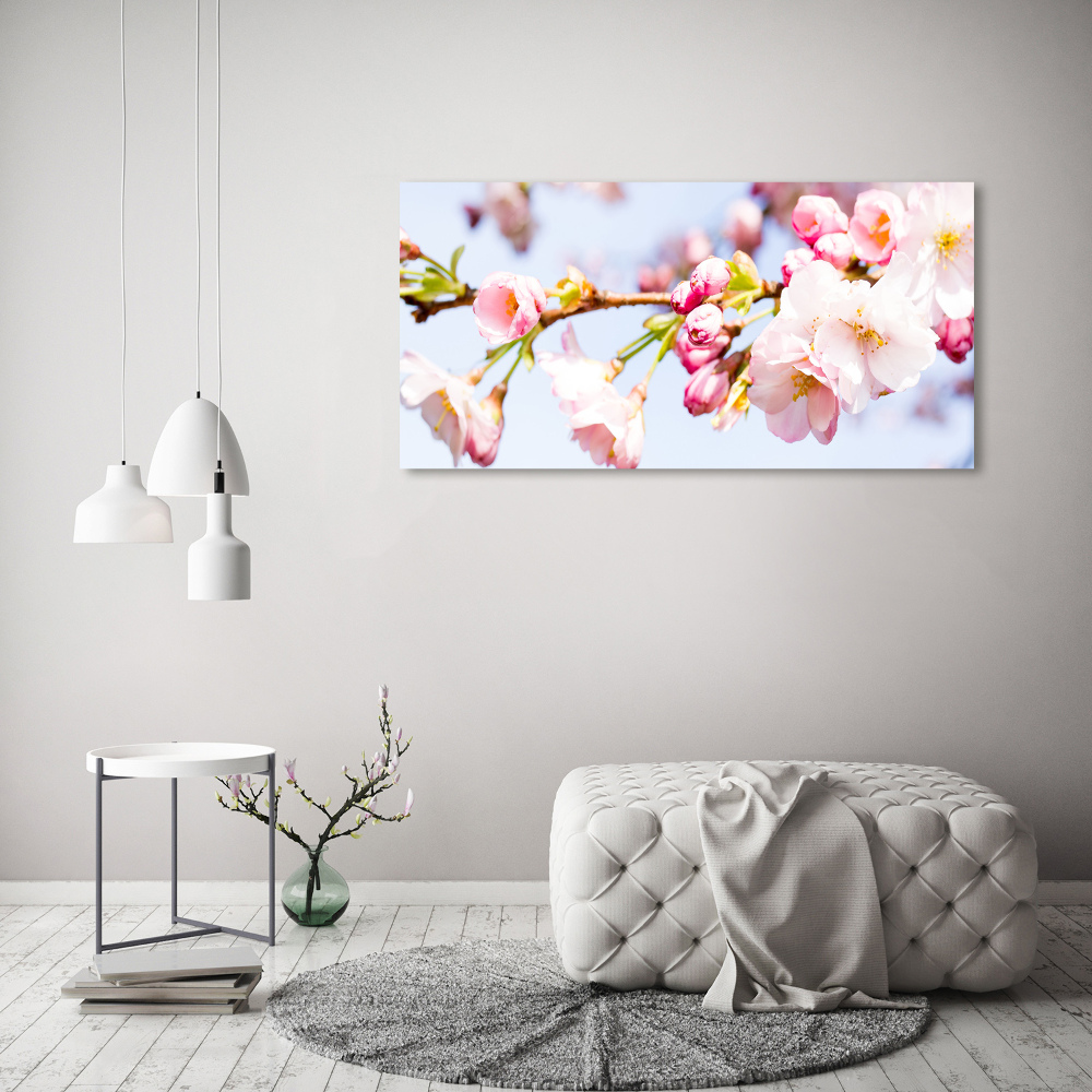 Tableau sur verre Fleurs de cerisier