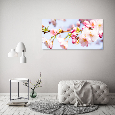 Tableau sur verre Fleurs de cerisier