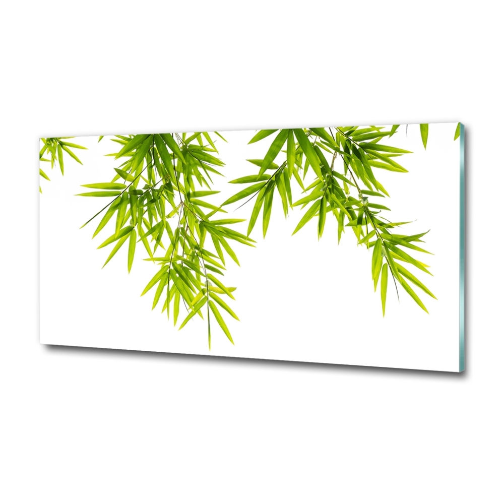 Tableau photo sur verre Feuilles de bambou