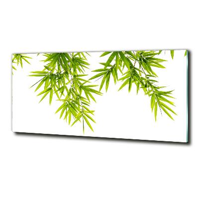 Tableau photo sur verre Feuilles de bambou