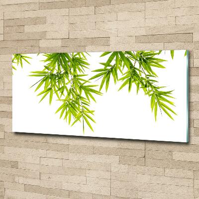 Tableau photo sur verre Feuilles de bambou