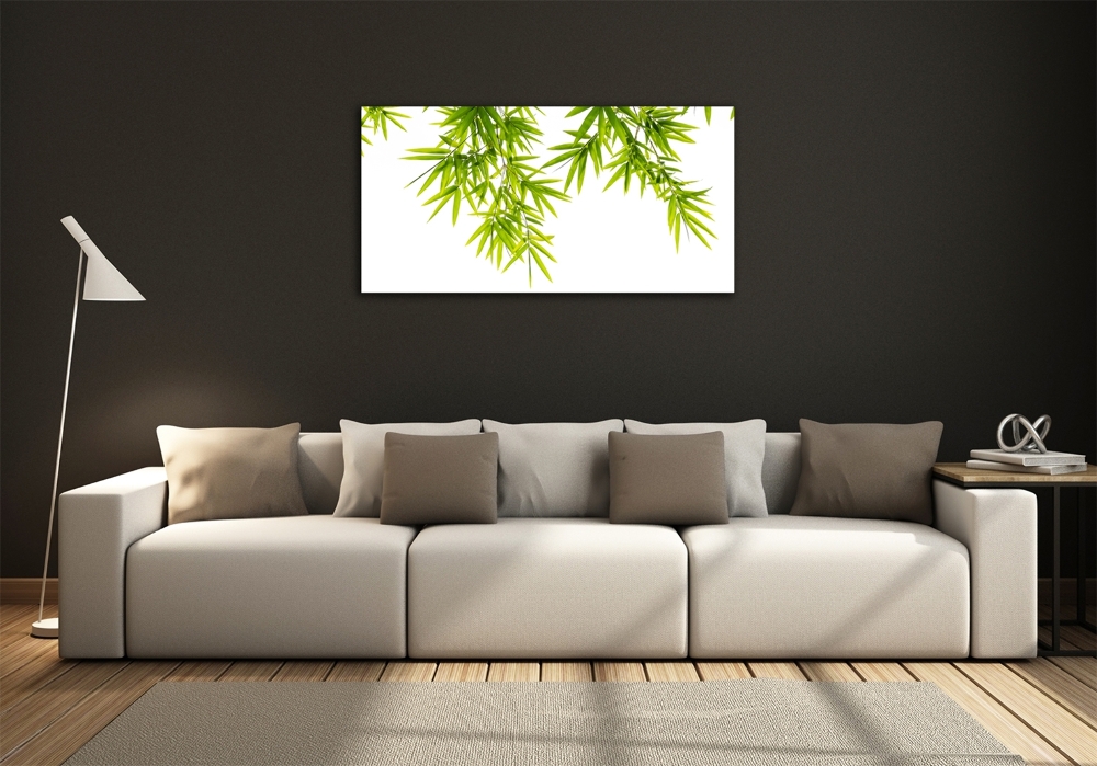 Tableau photo sur verre Feuilles de bambou