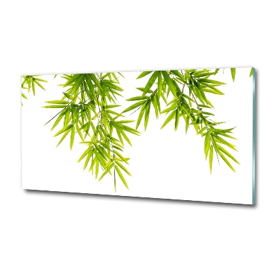 Tableau photo sur verre Feuilles de bambou