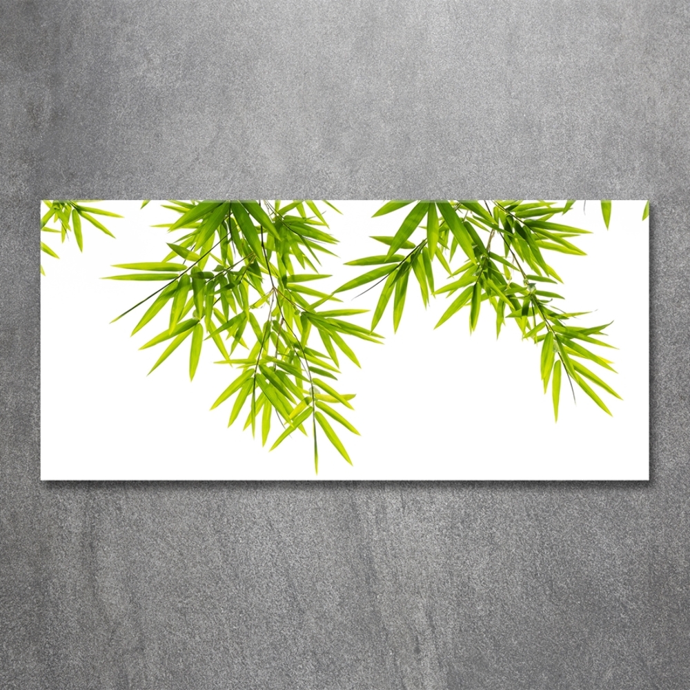 Tableau photo sur verre Feuilles de bambou