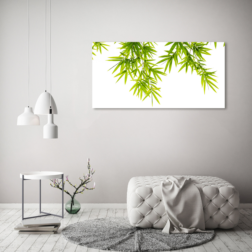 Tableau photo sur verre Feuilles de bambou