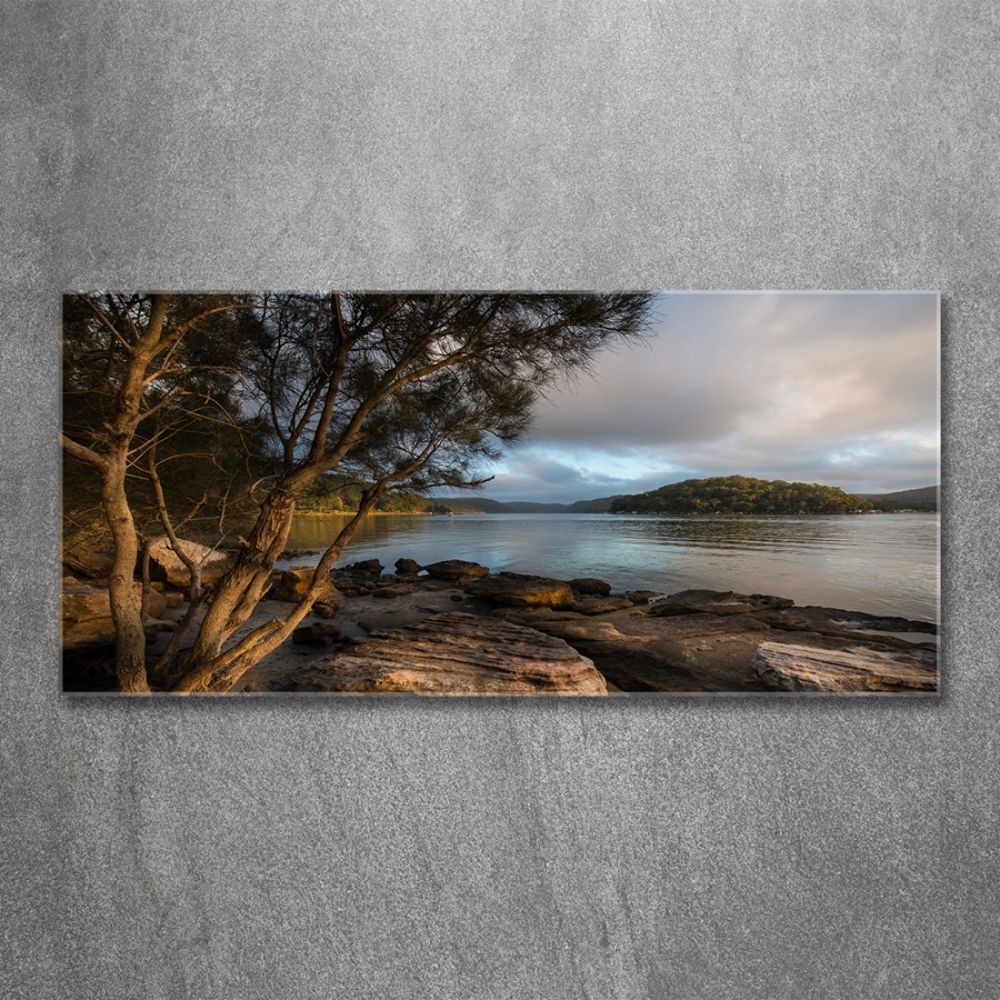 Tableau imprimé sur verre Arbre au bord de la rivière