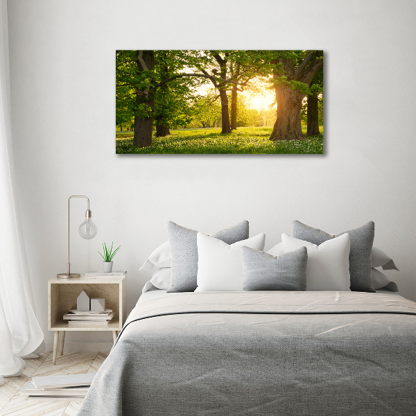 Tableau en verre Arbres dans le parc