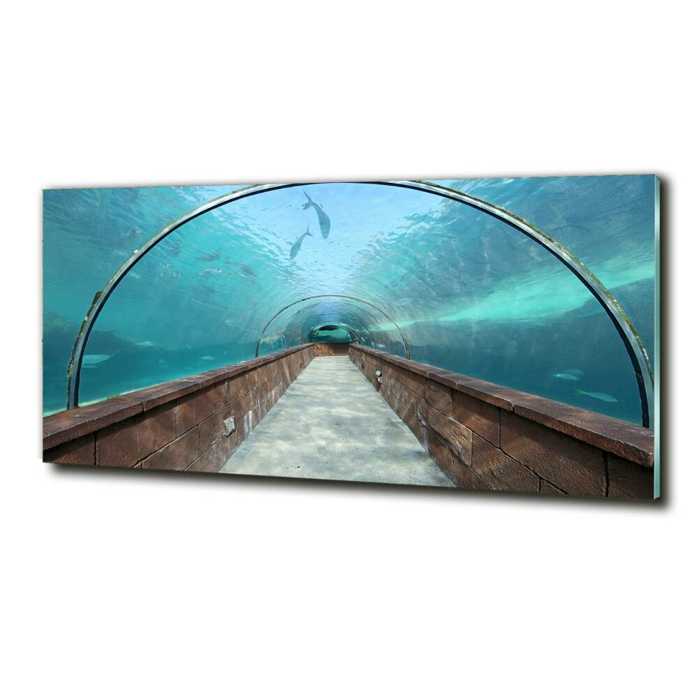 Tableau verre imprimé Tunnel aquarium