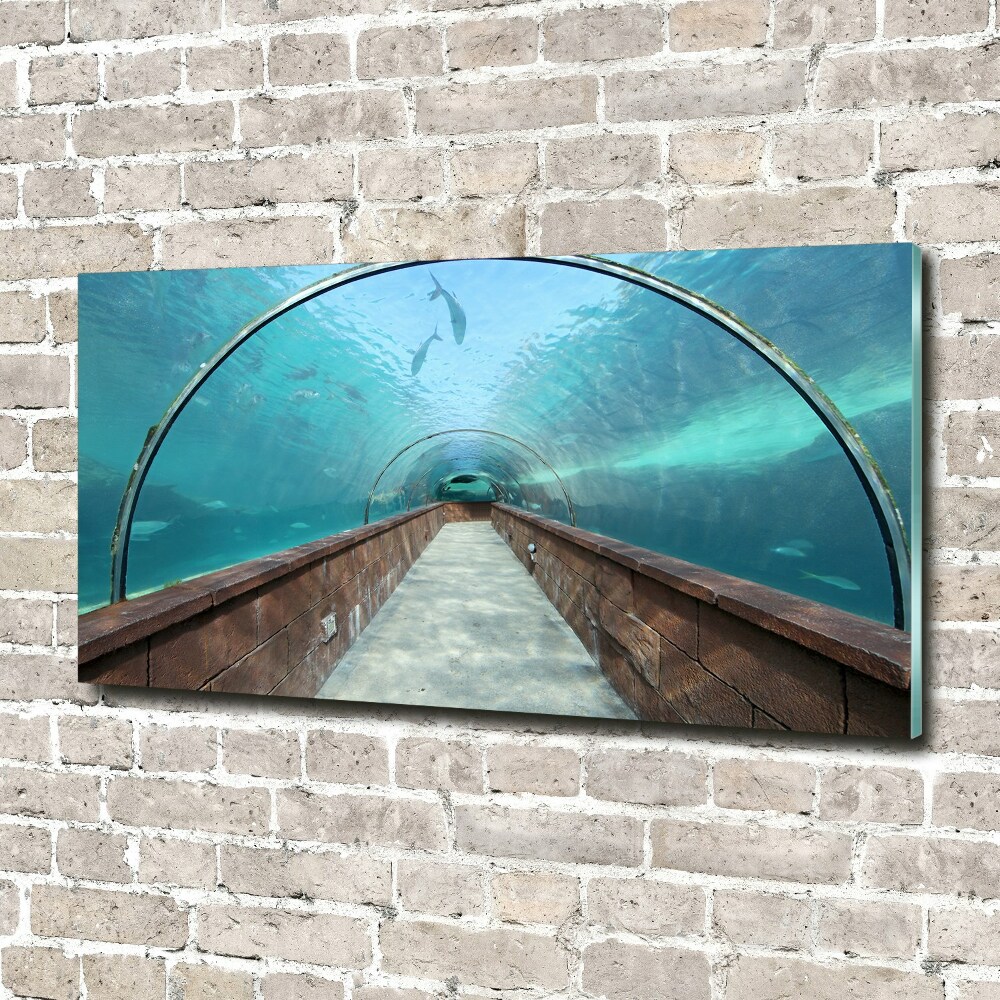 Tableau verre imprimé Tunnel aquarium